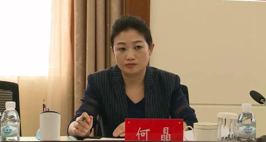 齐齐哈尔市委副书记何晶深入讷河调研