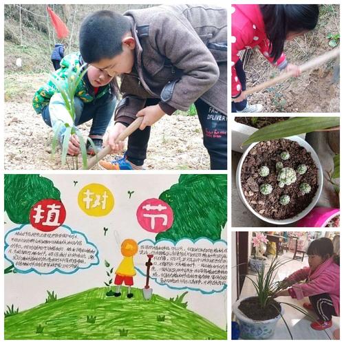 金家河镇中心小学师生这样过植树节 - 美篇