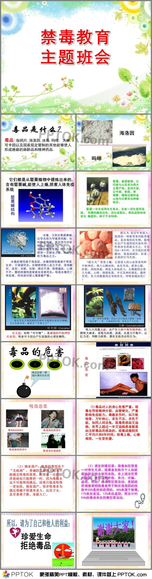 首页 ppt课件 学校ppt 主题班会ppt → 禁毒教育主题班会ppt 这是禁毒