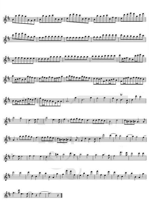 卡农 长笛独奏 谱子