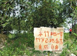 竹笋喷农药吃死你活该?