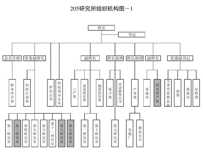 中国兵器工业第205研究所 组织机构图ppt