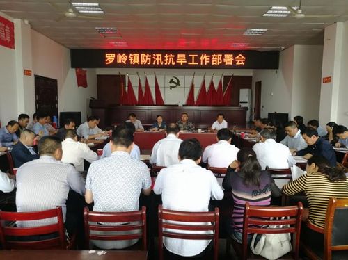 宜秀罗岭镇召开防汛抗旱工作部署会暨防汛应急抢险演练