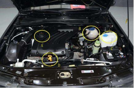 汽车六大趣味考试,看你是不是懂车达人