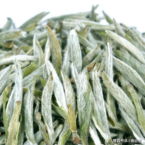 白毫银针价格形成.