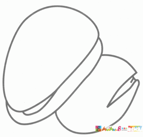 松子简笔画分解步骤图教程