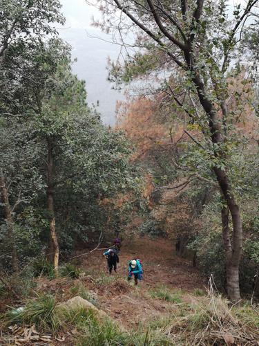 11月28日:去江夏登山