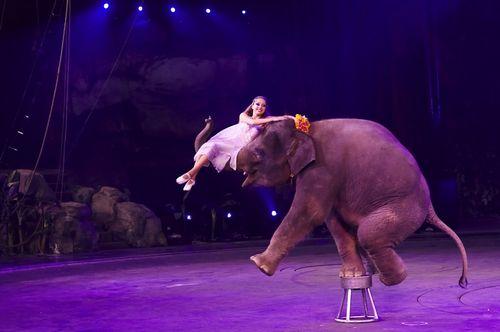 怎样玩常州淹城野生动物园自驾游