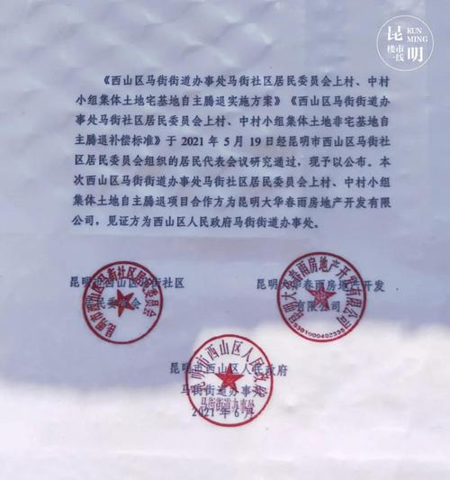 其三,明确了社会投资人是大华集团.