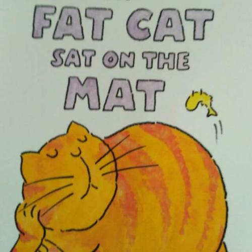 the fat cat sat on the mat