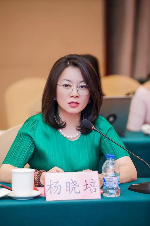 《全职高手》总制片人,柠萌悦心ceo杨晓培