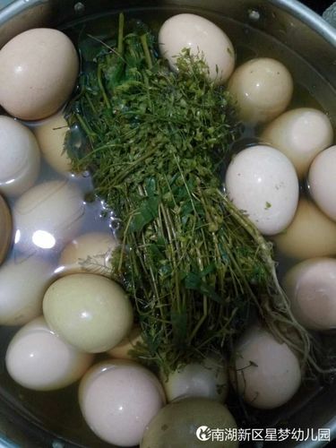 【弘正教育·星梦幼儿园】中国传统文化——三月三,吃地菜煮鸡蛋,寓意