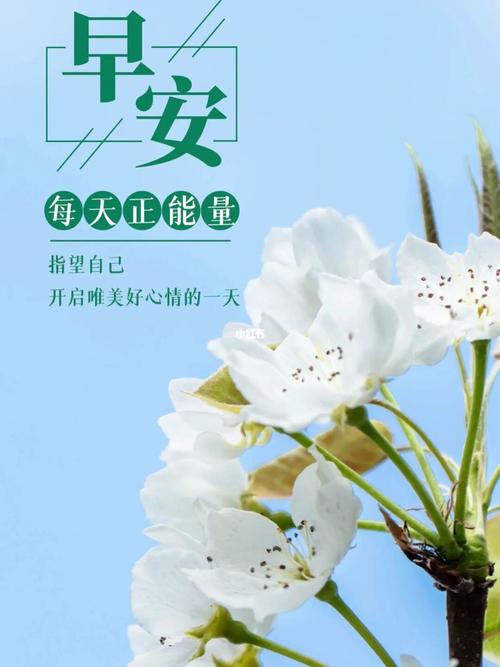 朋友圈8715早安图文94_朋友圈_文案_向日葵_早安朋友圈文案图片