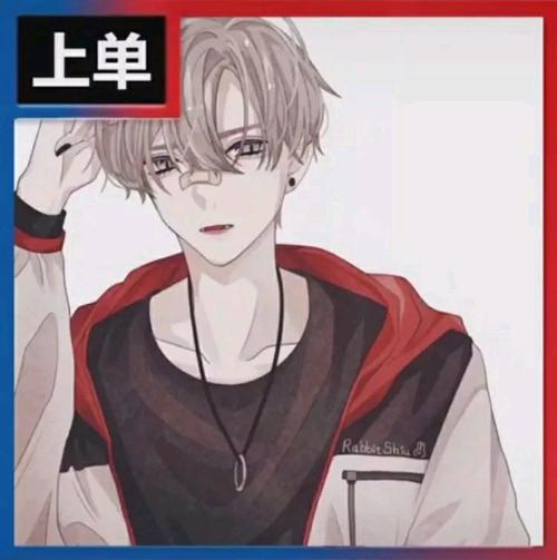 王者荣耀头像带职业图片大全