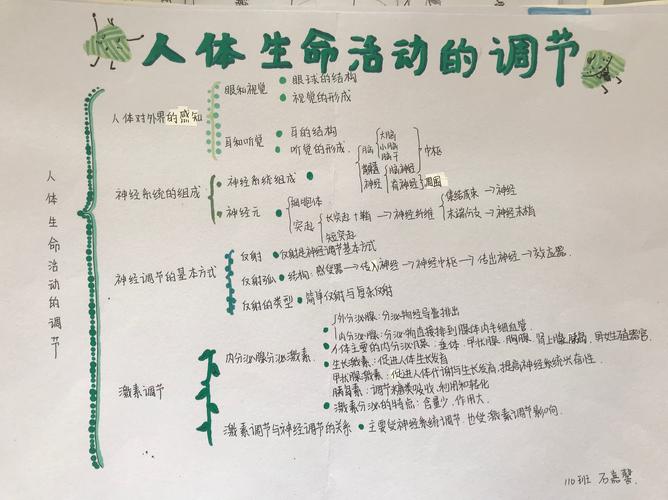 地生教研组之2020学生思维导图
