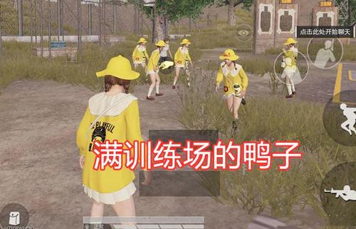 小黄鸭,大盘鸡,绝地求生