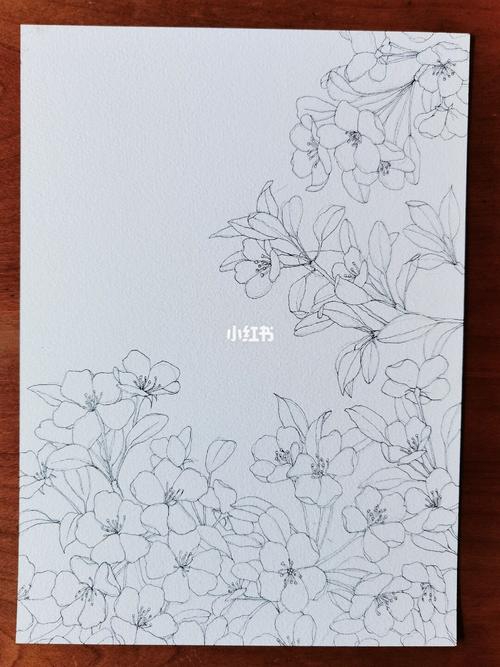 水彩《海棠花》步骤_水彩_钢笔_文化_绘画