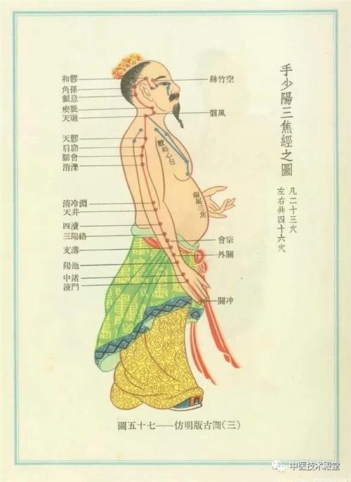中医基础|十四经络(高清图)及功能简单介绍