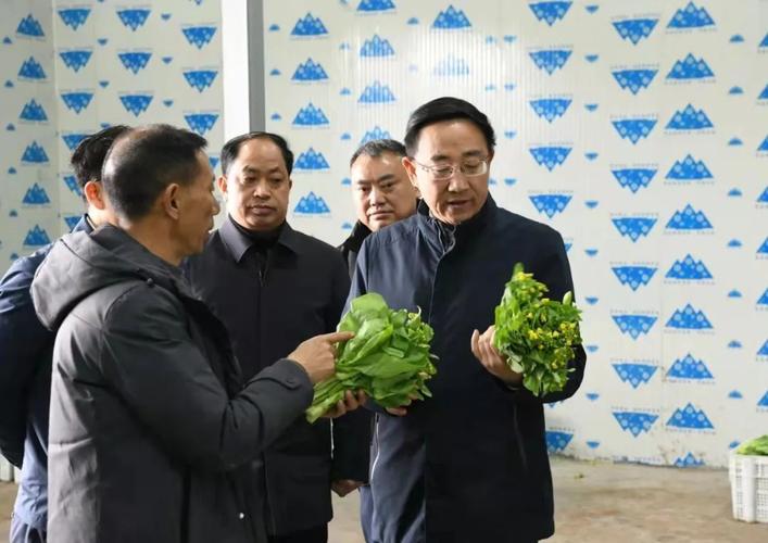 潼南区委书记张安疆调研三农工作产业振兴是乡村振兴的关键