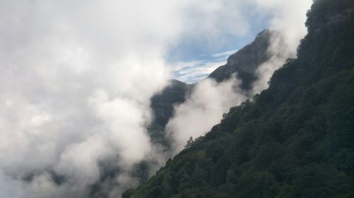 今天游金佛山,海拨2251来,大娄山脉最高峰,赏石树奇观