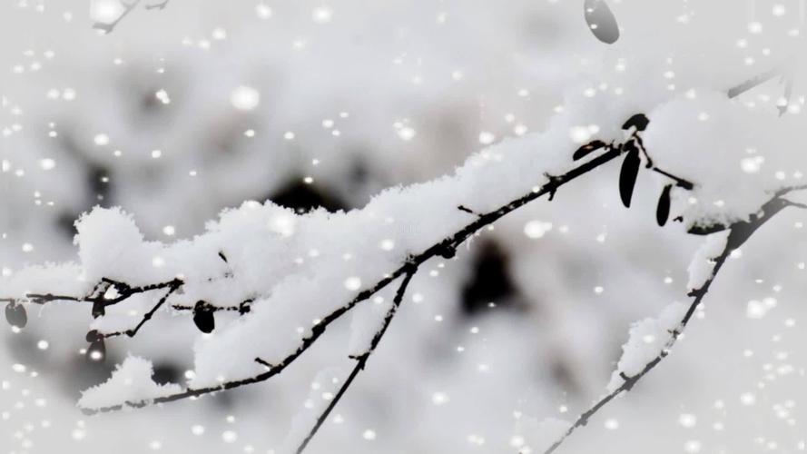 视频素材 舞台背景 配乐歌舞 雪落下的声音配乐成品 来自视频原始文件