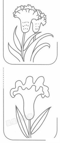 鸡冠花简笔画简单画法