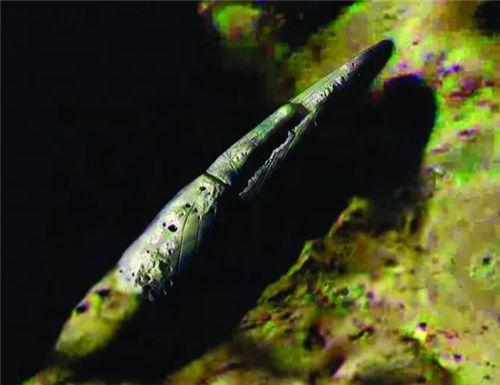 月球三眼女尸到底是真是假中国卫星传回图像引科学家热议