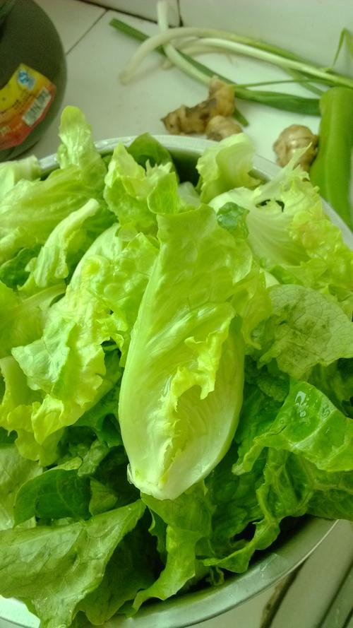 大家快来瞧瞧图片里蔬菜菜名是什么?