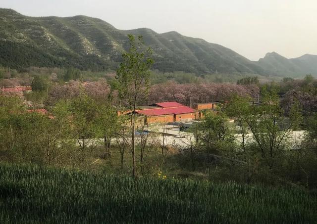 位于焦作修武县的大南坡村