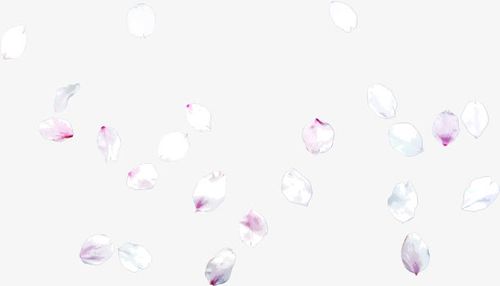 花瓣,撒花,手绘,线稿,手绘花,花,白花,粉色,白色,清新,水彩