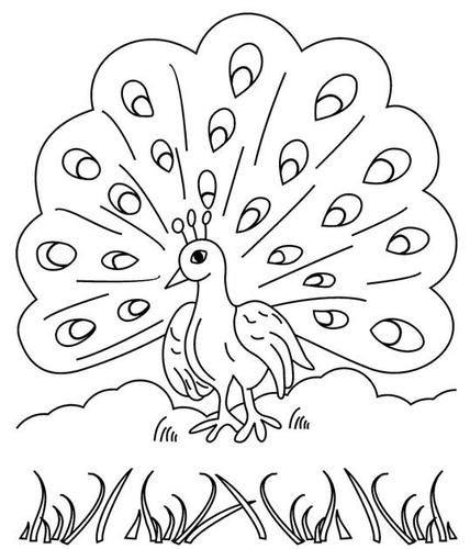 孔雀开屏儿童画图片_简单的孔雀开屏儿童绘画图集