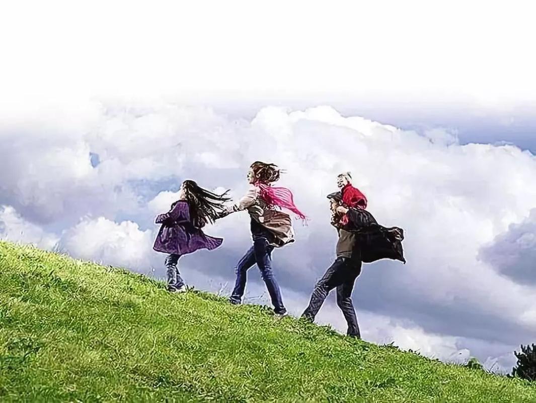 都说寒门再难出贵子,可贵子又何曾出在寒门?