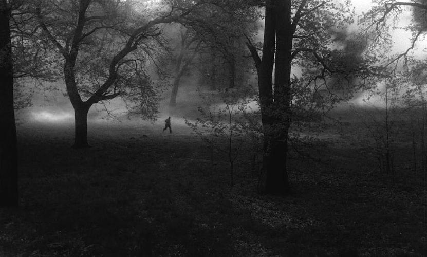 黑沼泽城堡的刽子手