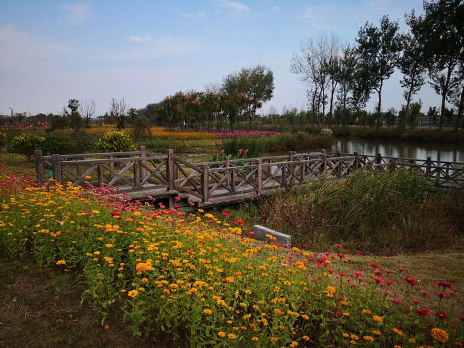 南京 八卦洲 陌上花渡