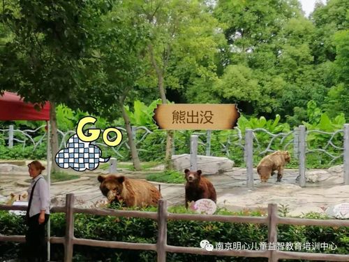 南京明心第三届夏令营开心返航