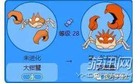 精灵宝可梦lets go巨钳蟹战术思路 巨钳蟹怎么用
