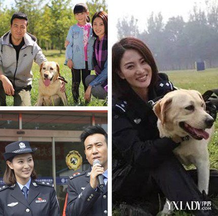 【图】《警花与警犬》主角非完美结局收官 第二季定期