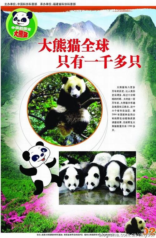 【科普挂图】中国的国宝大熊猫