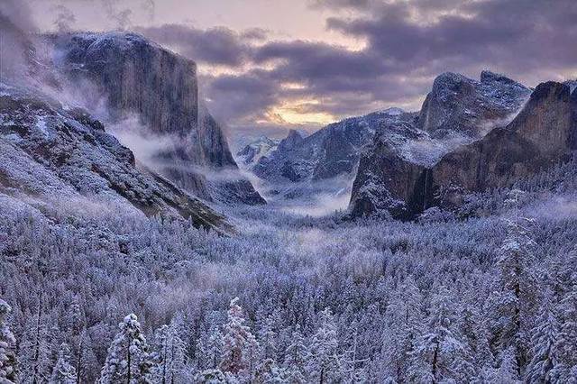 西伯利亚原始森林