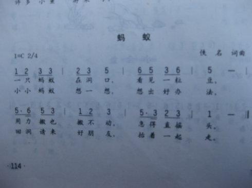歌曲___蚂蚁