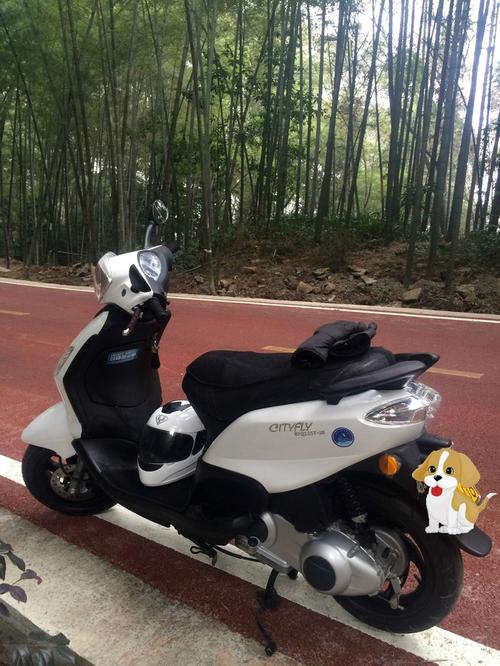 宗申比亚乔city fly125白色回家