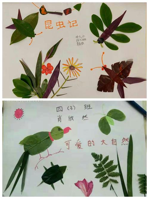 创意的树叶贴画~四年级小小艺术家