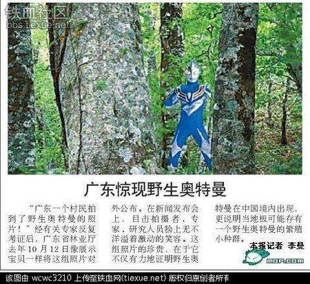 真正的野生奥特曼的样子的图片