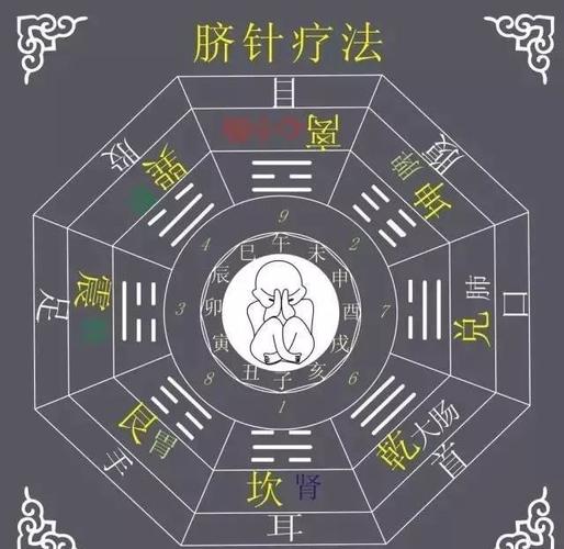 巽震坎艮离坤兑乾脐针八卦