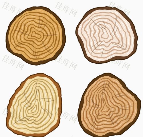 木纹 年轮 树干 树木 纹理 树干年轮