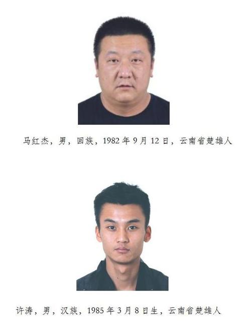 楚雄市扫黑办征集速进林,速进勇,钱龙等人违法犯罪线索
