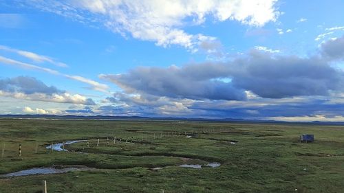 若尔盖草原是我国三大湿地之一.