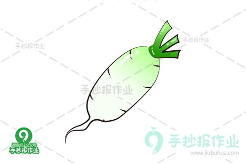 白萝卜简笔画