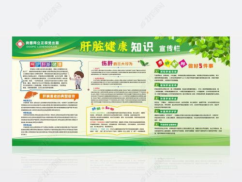 原创养肝护肝知识肝脏健康知识教育疾病预防宣传栏-版权可商用