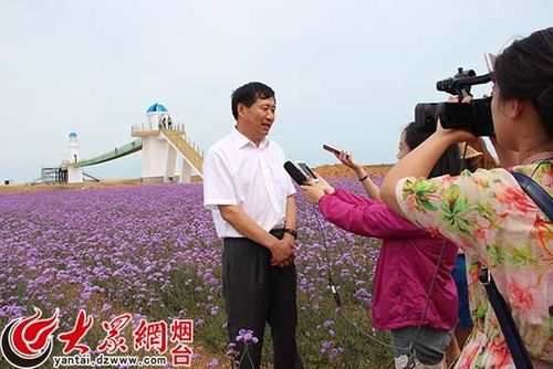 海阳连理岛旅游资源开发有限公司总经理于春林在连理岛千亩薰衣草